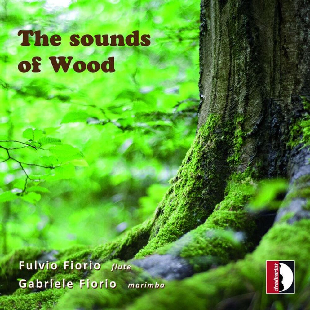 Gabriele Fiorio - Sounds of Wood  CD